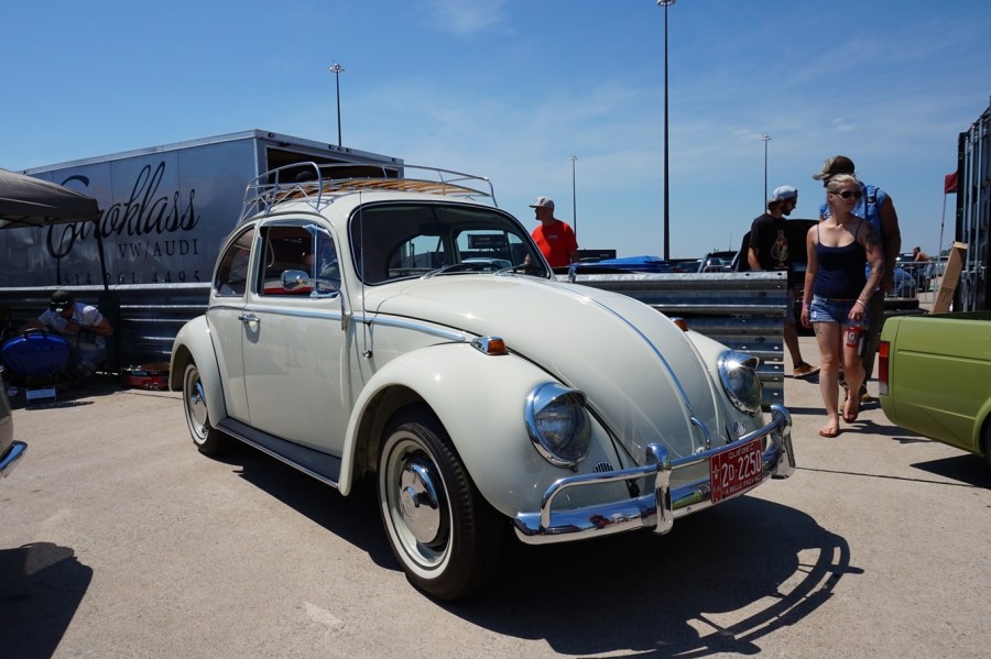 Classic Beetle