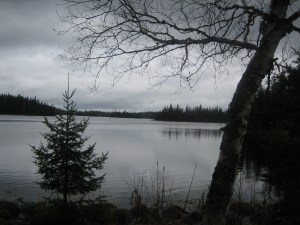 Rest stop where COP failed