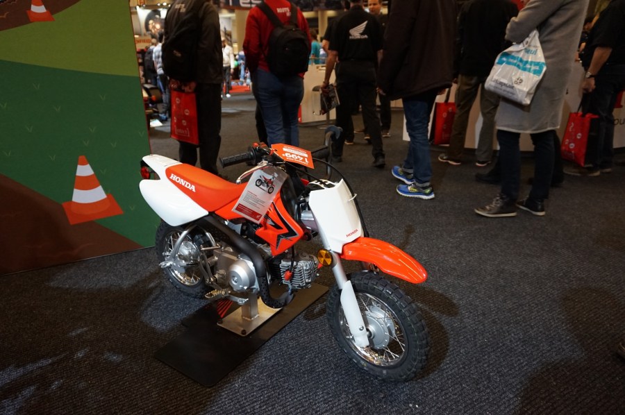 Bikes for all sizes!